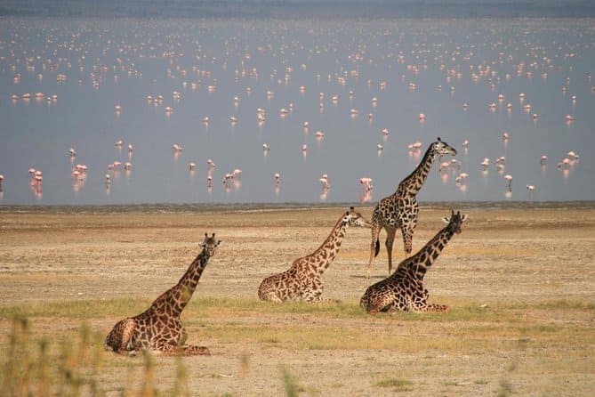 Lake Manyara