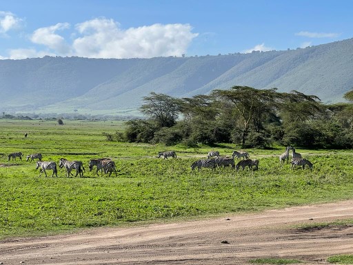 Serengeti